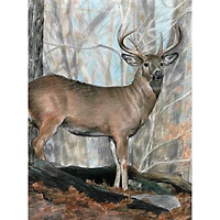 Royal & Langnickel® Whitetail Buck Colour Pencil™ by Number Kit