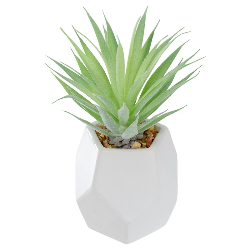 7.5" Green Sword Grass in White Geometric Pot