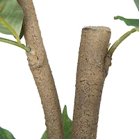 7ft. Potted Green Nandina Tree