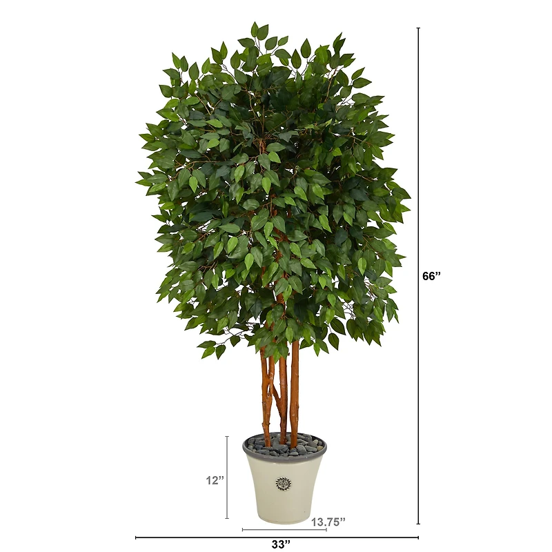 5.5ft. Super Deluxe Ficus Tree in Decorative Planter