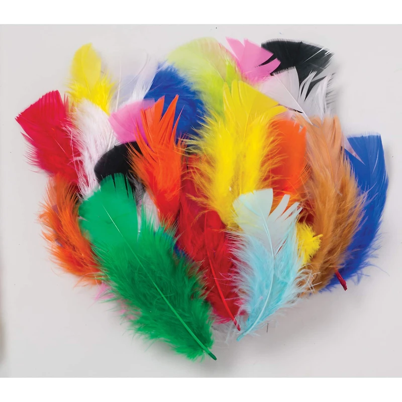 Creativity Street® Bright Turkey Plumage Feathers, 6 Packs of 1oz.