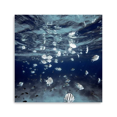 Indigo School Canvas Giclee