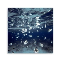 Indigo School Canvas Giclee