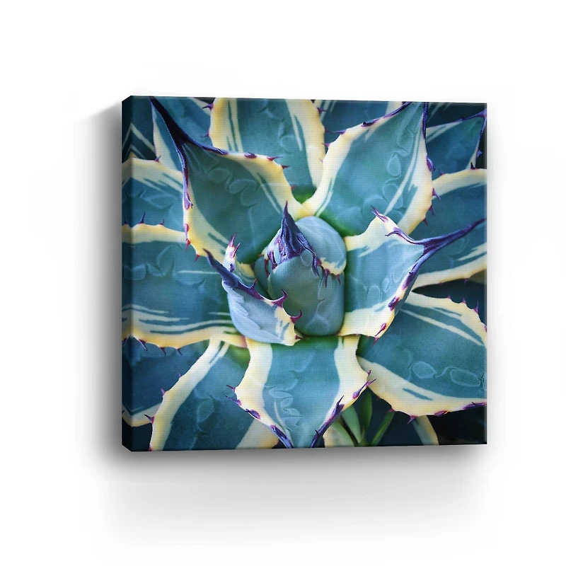 Lumaprints Elegant Thorns Canvas Giclée Wall Art