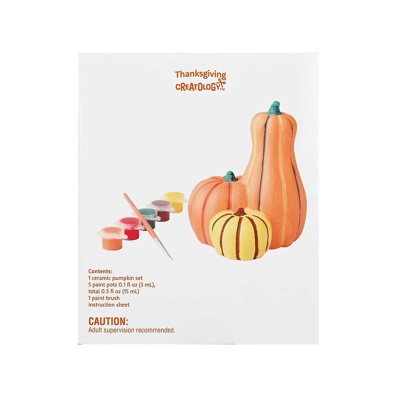 3D Ceramic Pumpkin Craft Kit by Creatology™