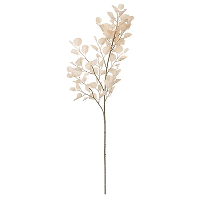 3ft. Cream Eucalyptus Stem by Ashland®