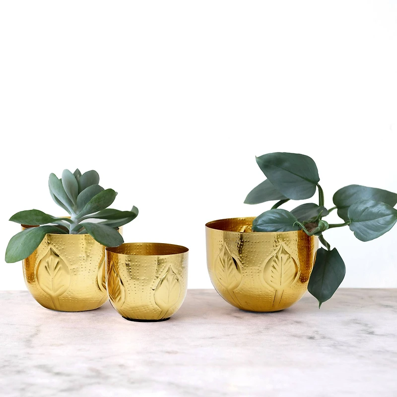 Hello Honey® Antique Gold Debossed Metal Planter Set