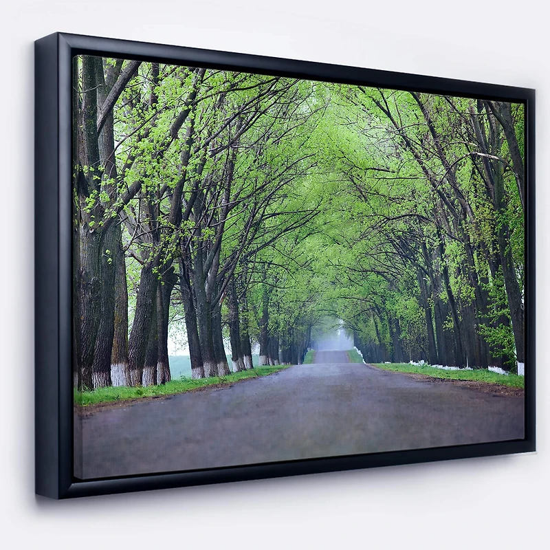Designart - Arched Trees Over Country Road
