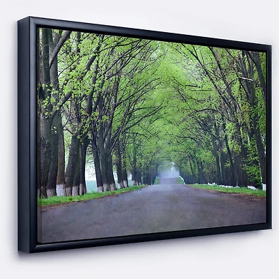 Designart - Arched Trees Over Country Road