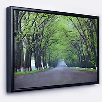 Designart - Arched Trees Over Country Road