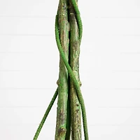 6.5ft. UV Resistant Artificial Ficus Tree (Indoor/Outdoor)