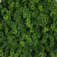 20" Framed Irish Green Meadow Artificial Living Wall Art Panel