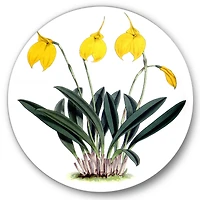 Designart - Retro Orchid Flowers