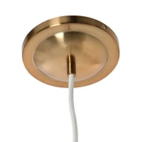 Hello Honey® Robert Stevenson Lighting Presley Caged Trumpet Metal Ceiling Light