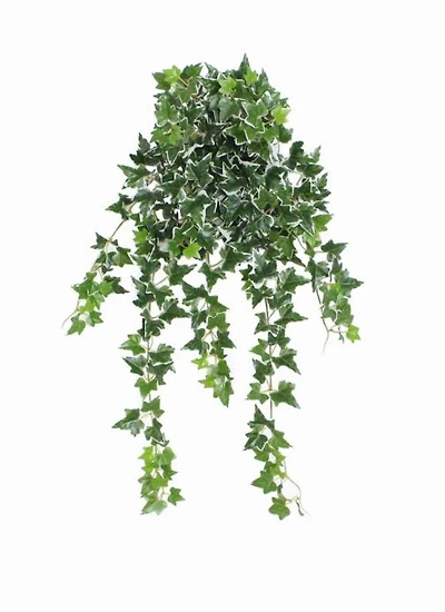 24" Decorative Green & White Ivy Spring Floral Hanging Bush