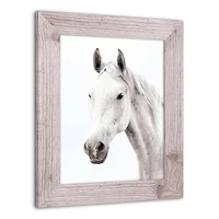 White Horse Western Framed Print