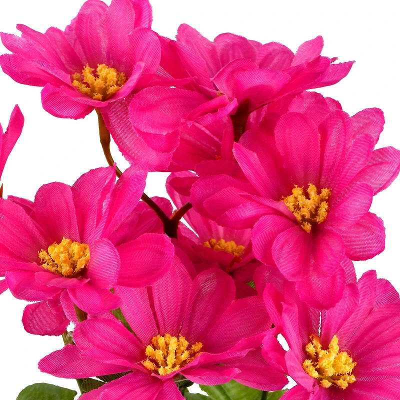 12" Daisy Bush by Ashland