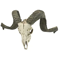 Design Toscano 11.5" Faux Corsican Ram Skull Wall Sculpture 