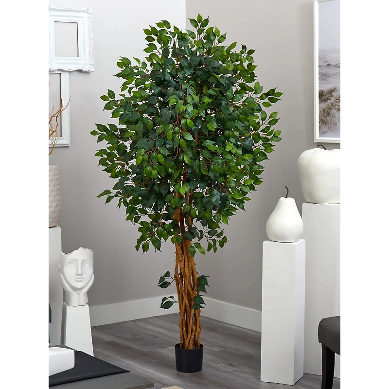 6ft. Potted Palace Style Ficus Tree