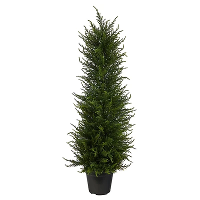 2.5ft. Potted Cypress Tree
