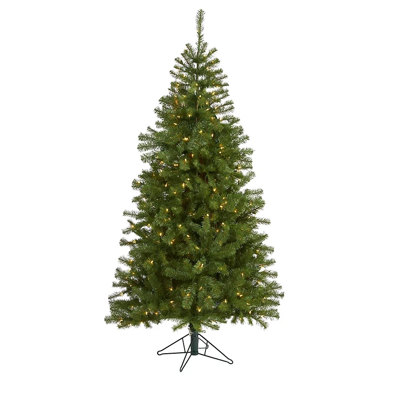 6ft. Pre-Lit Springfield Artificial Christmas Tree, Clear LED Lights