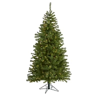 6ft. Pre-Lit Springfield Artificial Christmas Tree, Clear LED Lights