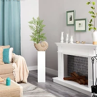 3ft. Ruffle Fern Artificial Tree in Shell Shaped Planter