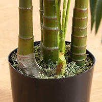 5ft. Potted UV Resistant Areca Palm Tree