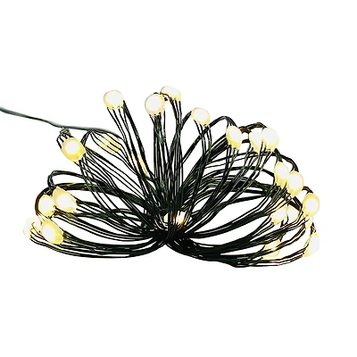 24ct. Warm White LED Bead String Lights on Green Wire by Ashland®