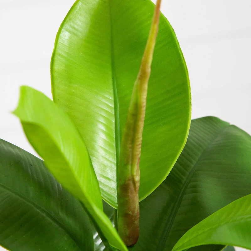 20in. Artificial Fiddle Leaf Fig Plant