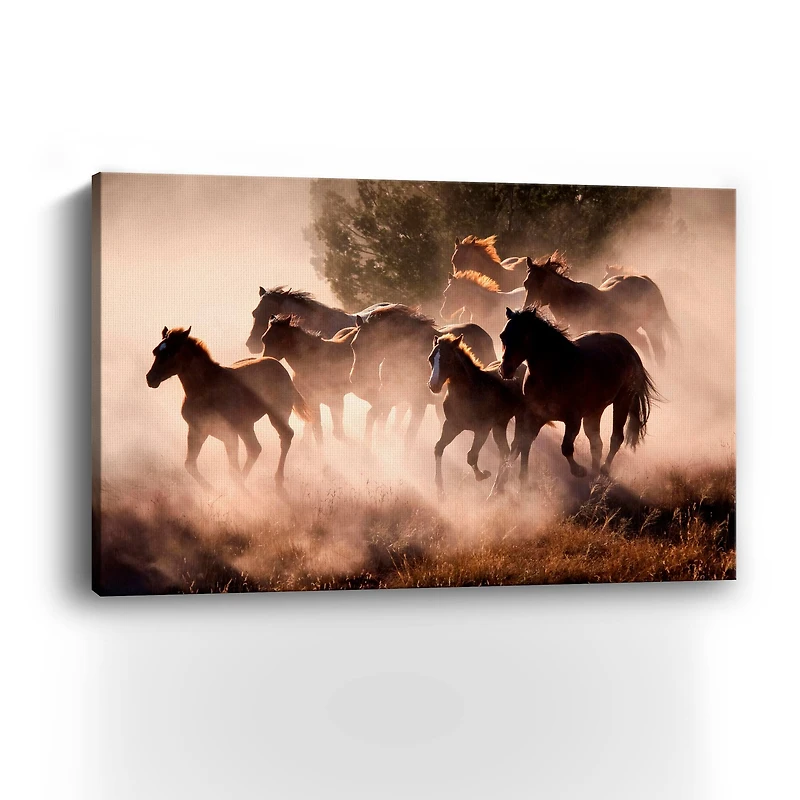Lumaprints Horses Canvas Wall Art
