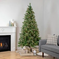 6.5ft. Pre-Lit Kingston Cashmere Pine Artificial Christmas Tree, Clear Lights
