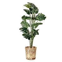 American Art Decor 4ft. Monstera Tree in Woven Basket