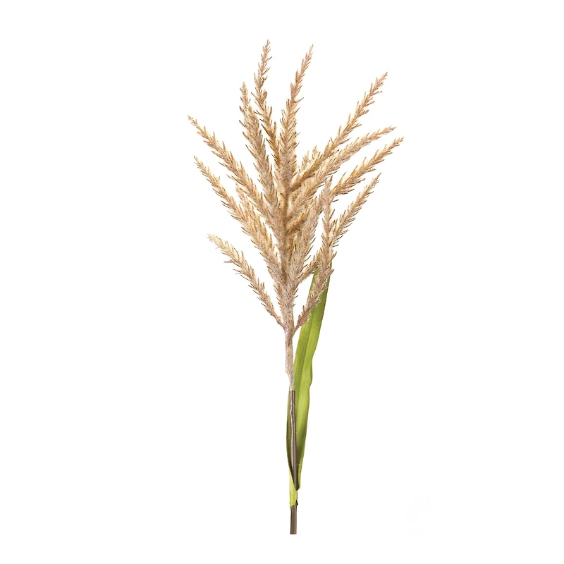 34" Brown Astilbe Stems, 12ct.