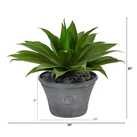 22" Agave Succulent Plant in Gray Planter