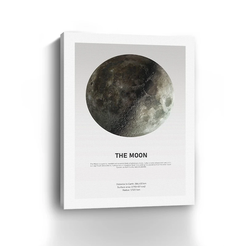 Moon Light Canvas Giclee