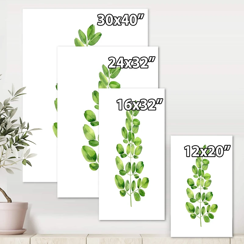 Designart - Moringa Branch Tropical Tree Foliage