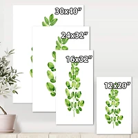 Designart - Moringa Branch Tropical Tree Foliage