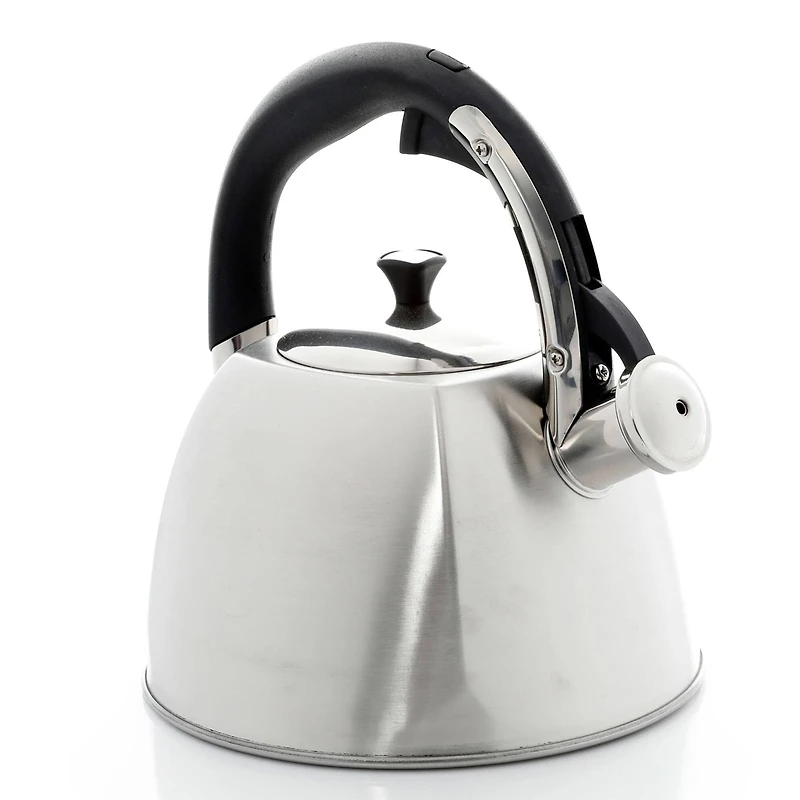 Mr. Coffee Belgrove 2.5qt. Brushed Stainless Steel Whistling Tea Kettle with Nylon Handle