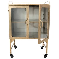 Hello Honey® Gold Metal Cabinet with Locking Caster Wheels & Glass Doors