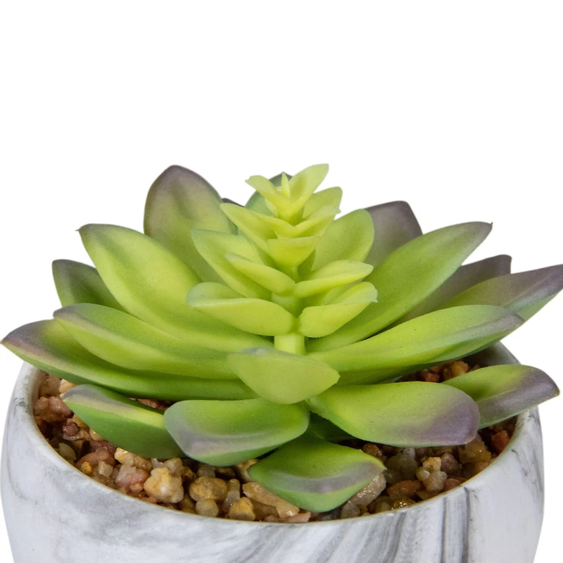 4" Green & Purple Succulent in Faux Marble Pot