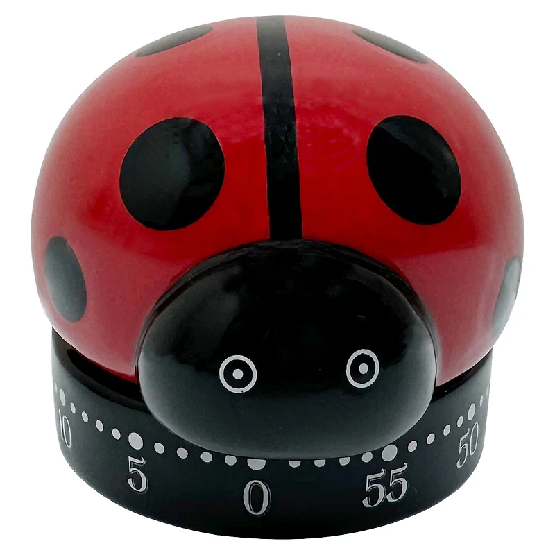 Ceramic Ladybug Timer by Ashland®