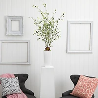 4ft. Night Willow in White Planter