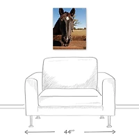 Horse Head 16" x 20" Canvas Wall Art