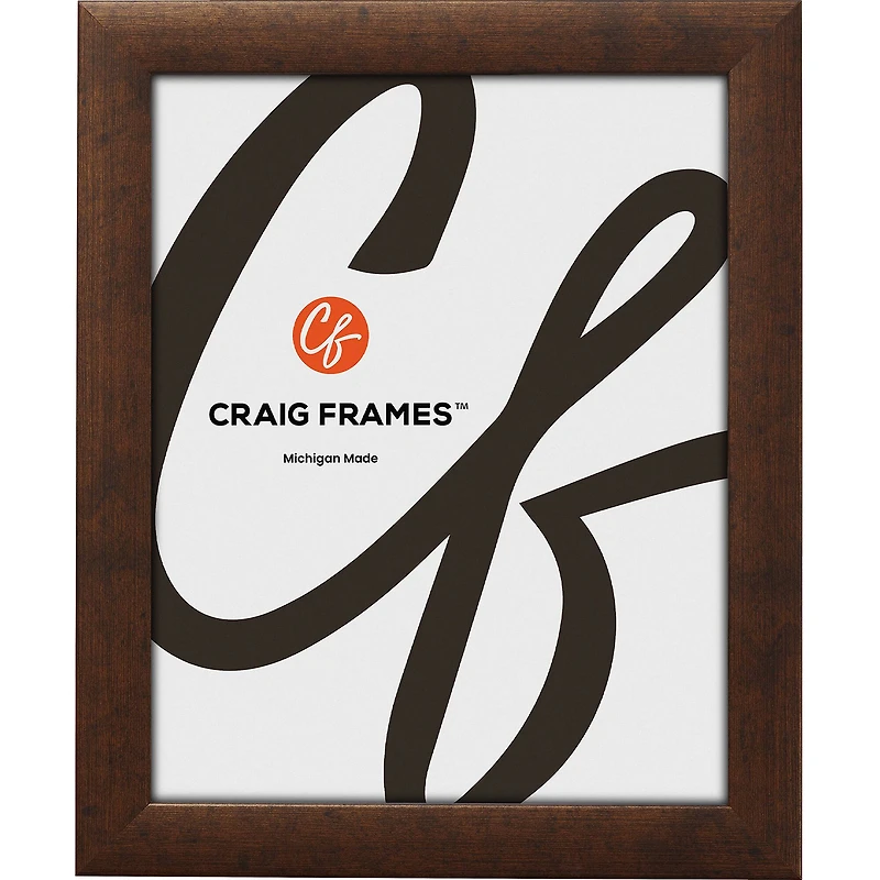 Pack Craig Frames Contemporary Rustic Copper Picture Frame