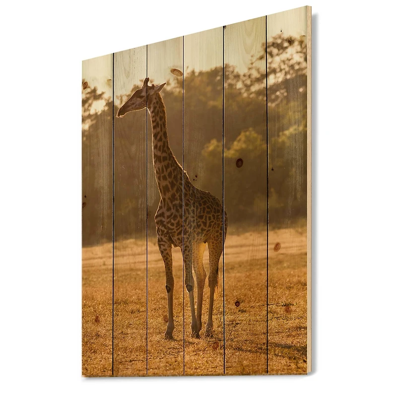 Designart - African Giraffe In The Wild II
