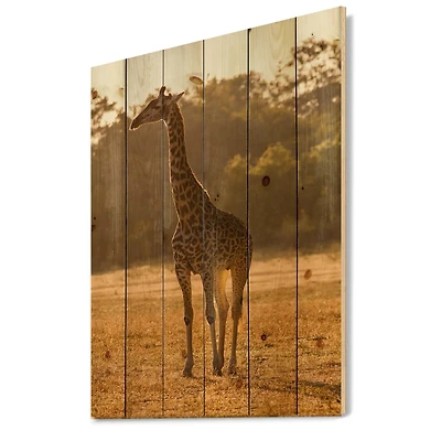 Designart - African Giraffe In The Wild II