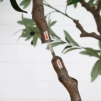 8ft. Artificial Grand Olive Tree in White Decorative Planter
