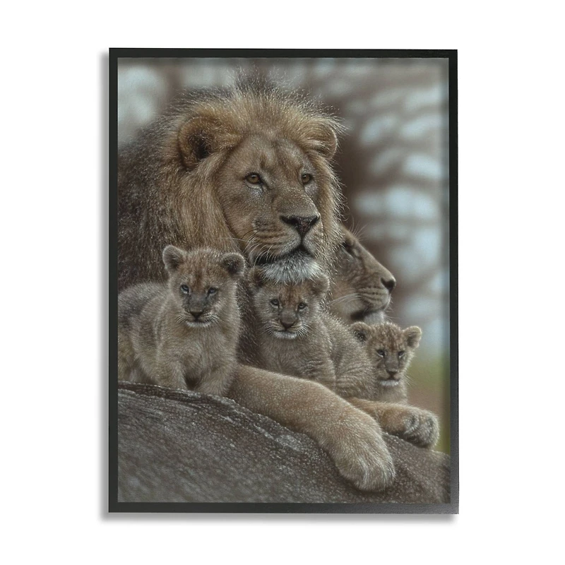 Stupell Industries King Lion Baby Cubs Wild Safari Animal Family Framed Wall Art