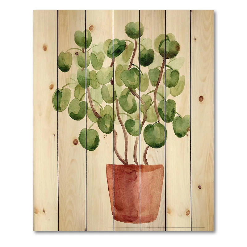 Designart - Chinese Money Plant In Pot